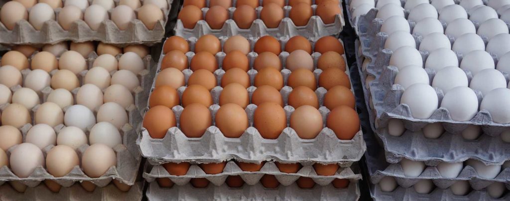 How to Start eggs distribution business in Nigeria