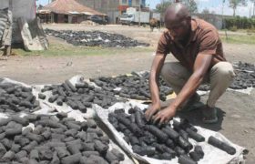 How to start charcoal business in Nigeria
