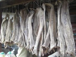 Stockfish business in Nigeria